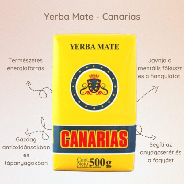 Yerba Mate – Természetes energia, antioxidánsok és frissítő íz egy csészében