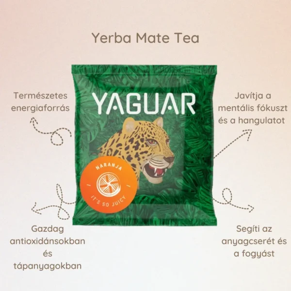Yerba Mate – Természetes energia, antioxidánsok és frissítő íz egy csészében