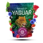 Yerba Mate – Természetes energia, antioxidánsok és frissítő íz egy csészében